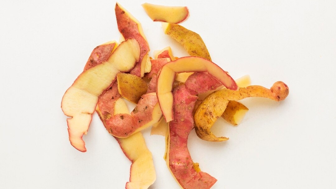 Cara Mengolah Kulit Buah yang Aman untuk Menjaga Kesehatan Tubuh