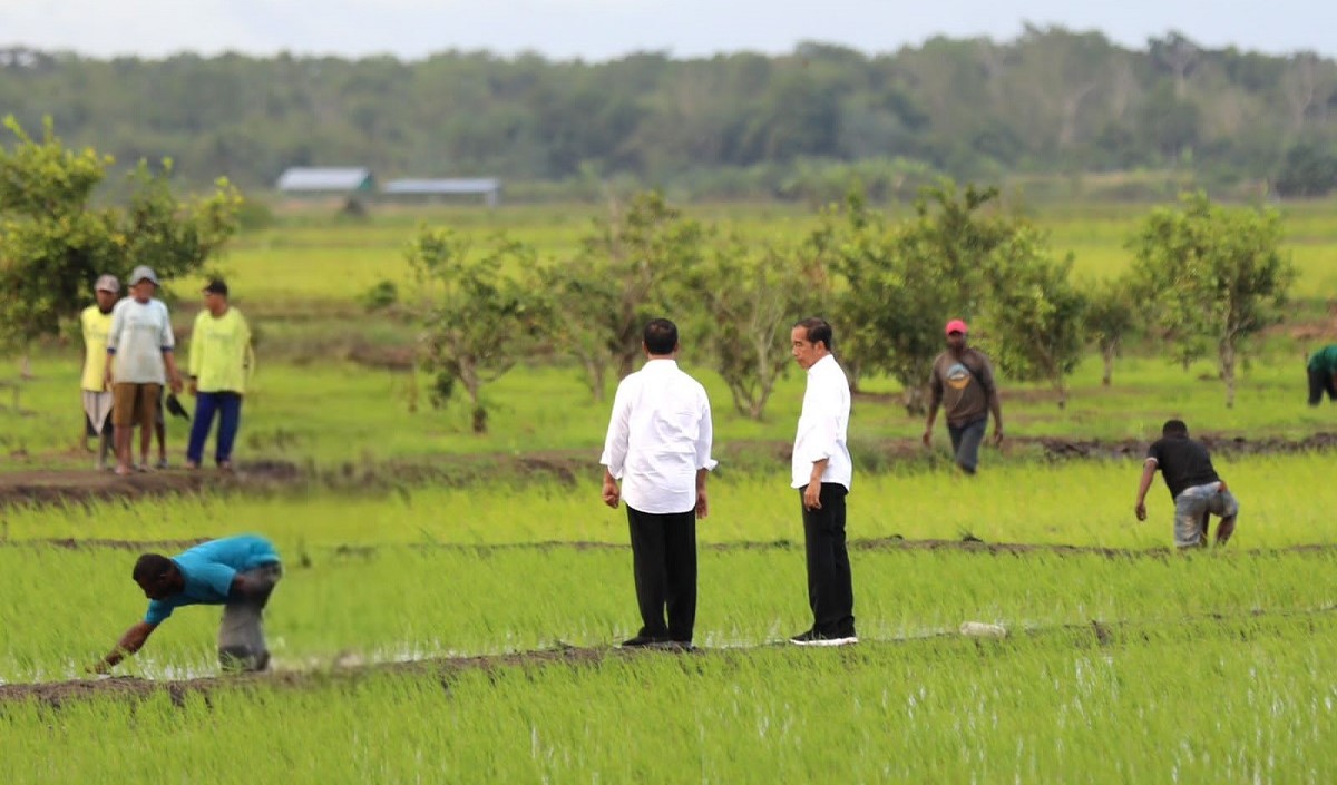 Presiden Joko Widodo tinjau langsung simulasi drone tabur pupuk di Papua Selatan