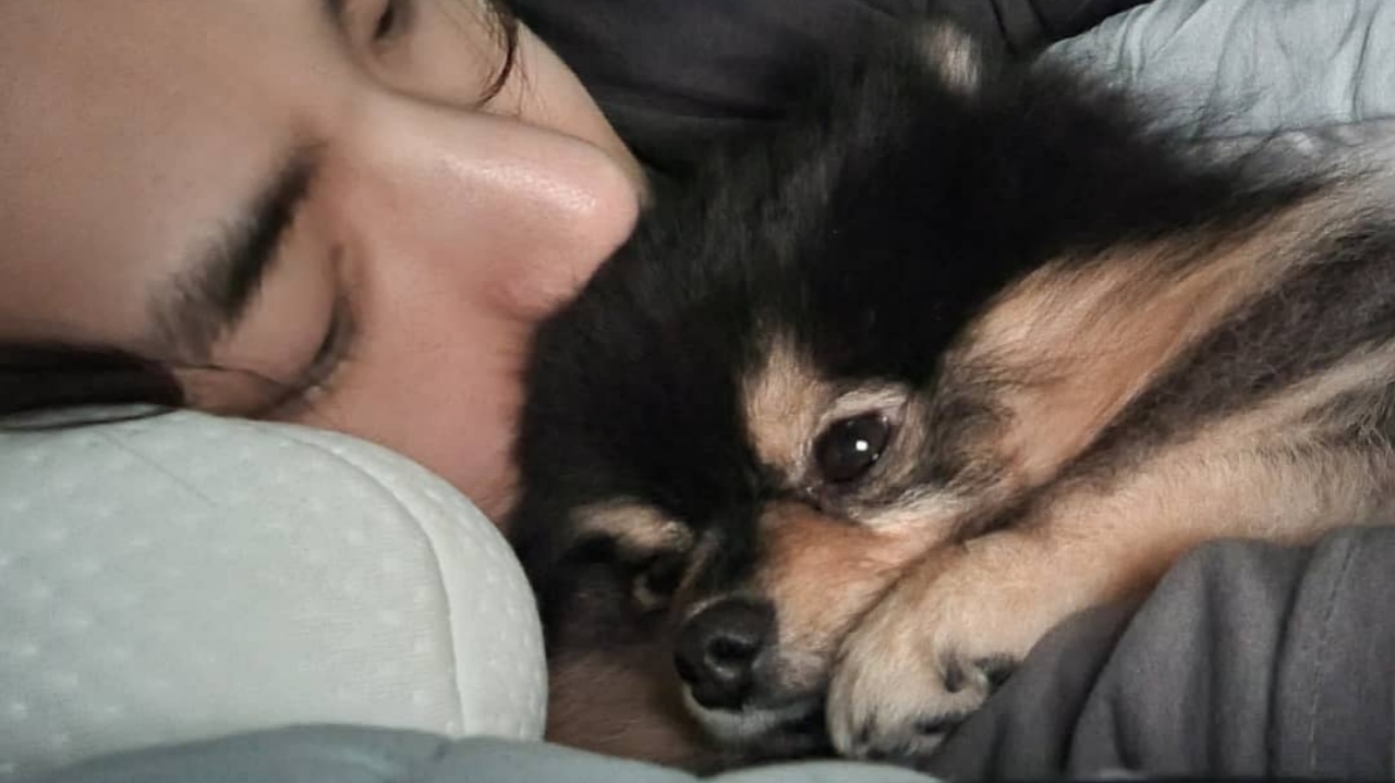 Yeontan Anjing Milik V BTS Dikabarkan Tutup Usia, Ini Salam Perpisahannya yang Bikin Sendu