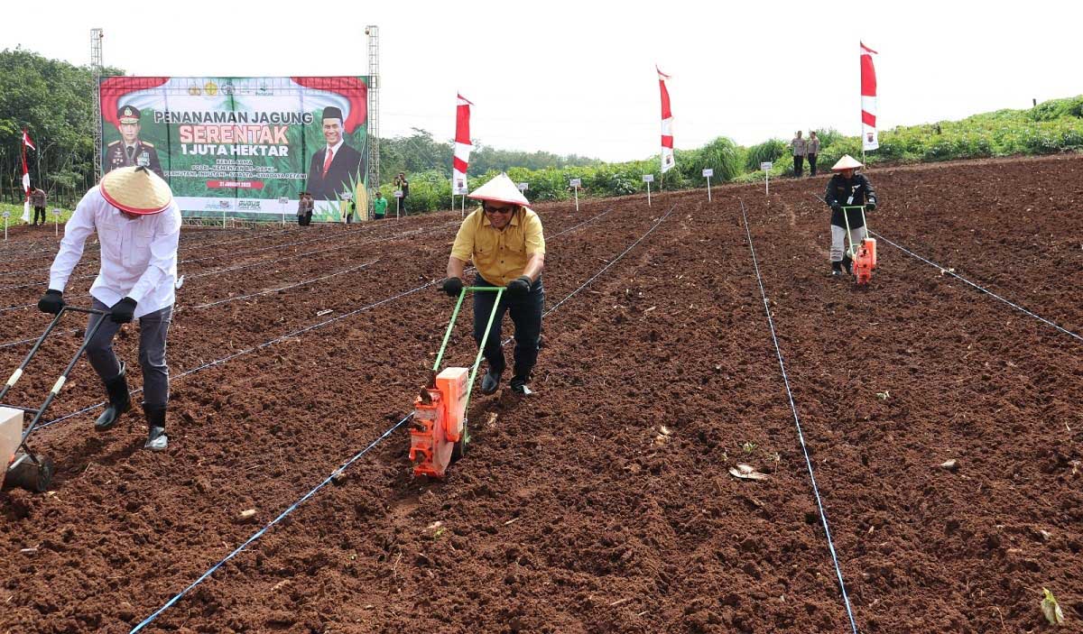 Bersama POLRI, Kementan Tanam Jagung Serentak di Jawa Tengah