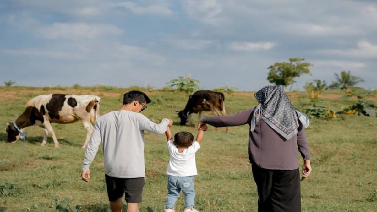 Menikmati Wisata Gratis ala New Zealand di Propang Ranch Magelang