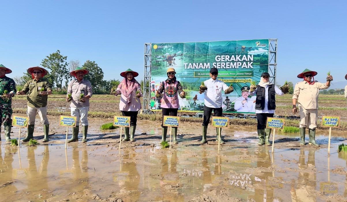 Genjot Produksi Pangan, Kementan Gelar Tanam Serentak di 26 Provinsi