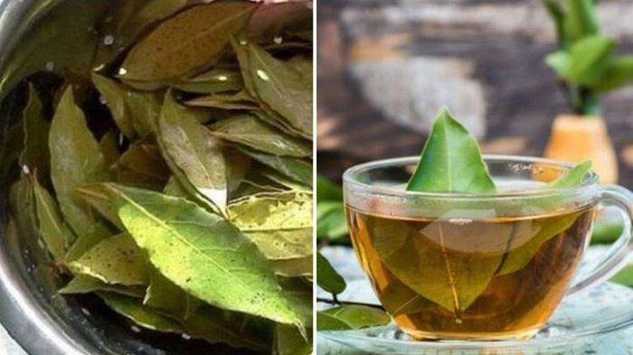 Hingga Cegah Kanker Payudara, Ini Segudang Manfaat Minum Air Rebusan Daun Salam Campur madu