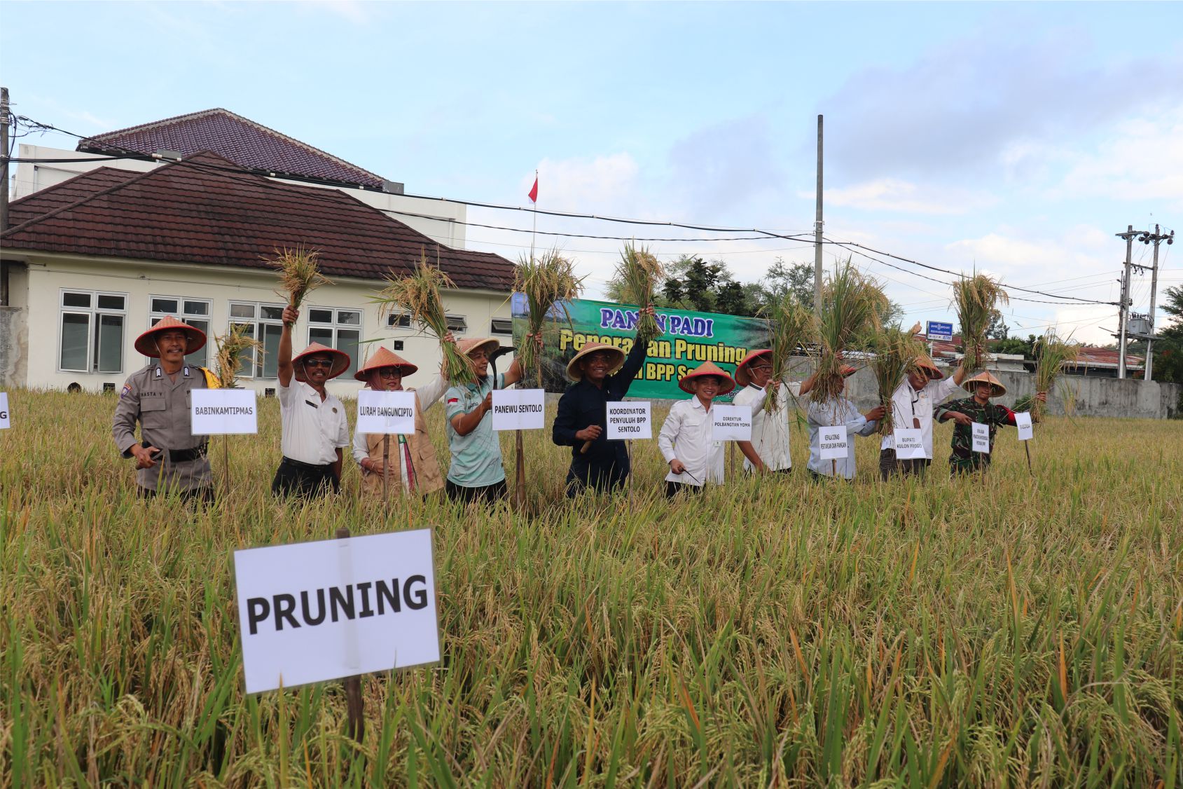 Tingkatkan Hasil Panen, Penyuluh Kulon Progo Terapkan Metode Alternatif Pruning