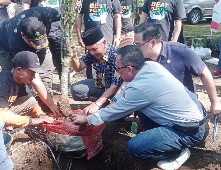  Peringati Hari Lingkungan Hidup Sedunia, DLH Wonosobo Tanam Pohon Jenis Ini