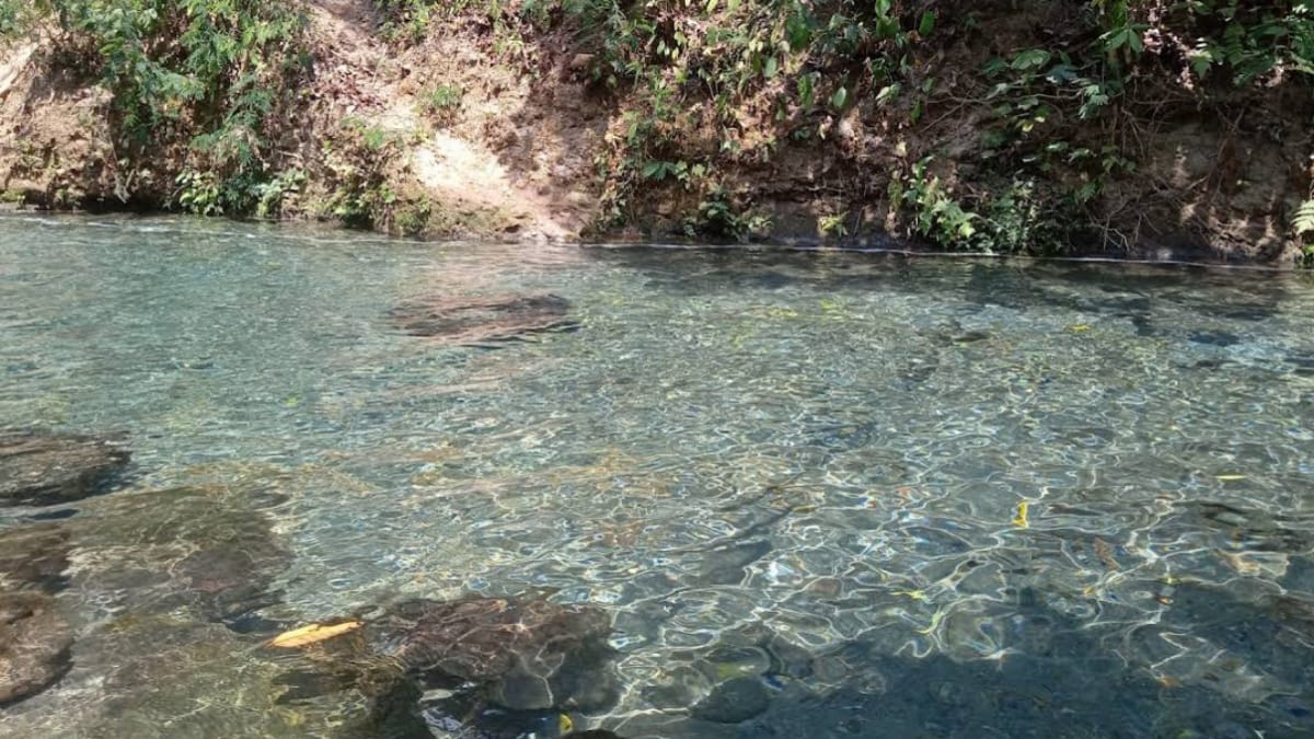 Wisata Magelang Kali Udal Gumuk, Sungai Tersembunyi yang Memiliki Air Sangat Jernih
