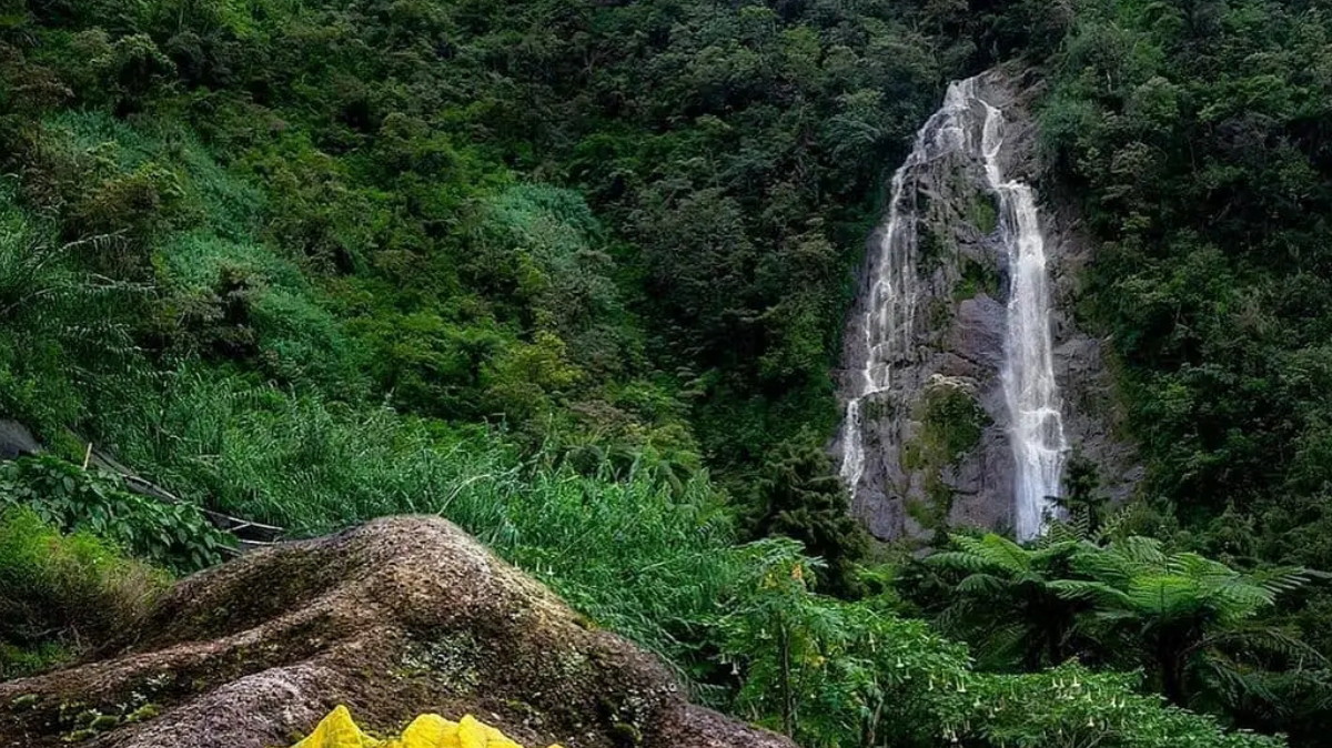 3 Wisata Curug di Temanggung Ini Jadi Hidden Gem Wajib Dikunjungi, Masih Alami dan Belum Banyak yang Tahu!