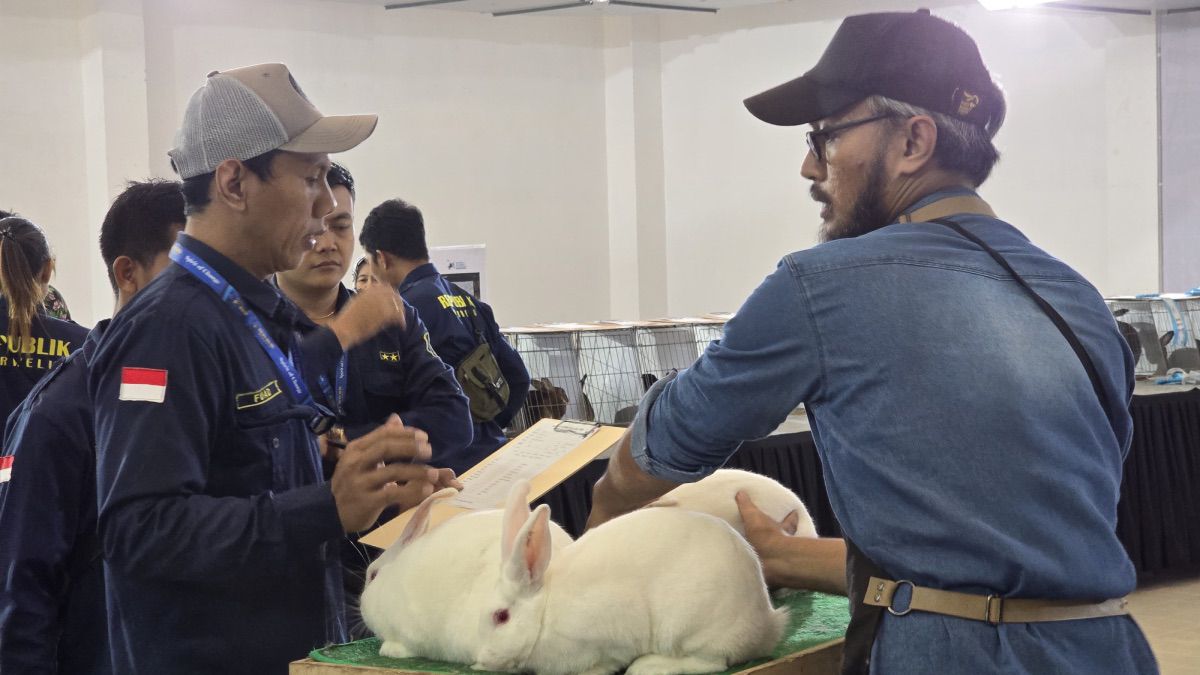 Kontes Kelinci Hias di Mall Artos Magelang Sedot Animo Anak-anak dan Pengunjung