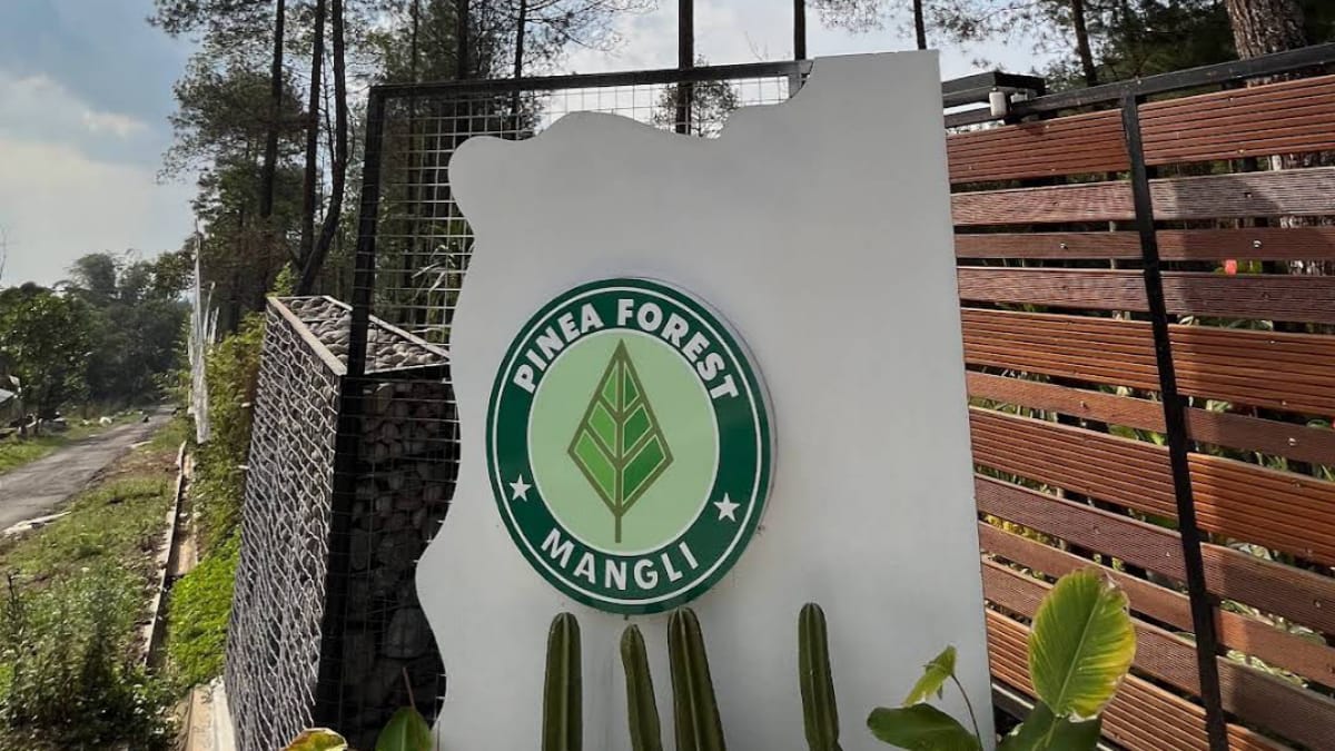 Pinea Forest Mangli, Tempat Paling Pas untuk Menghabiskan Akhir Pekan Bersama Keluarga di Magelang