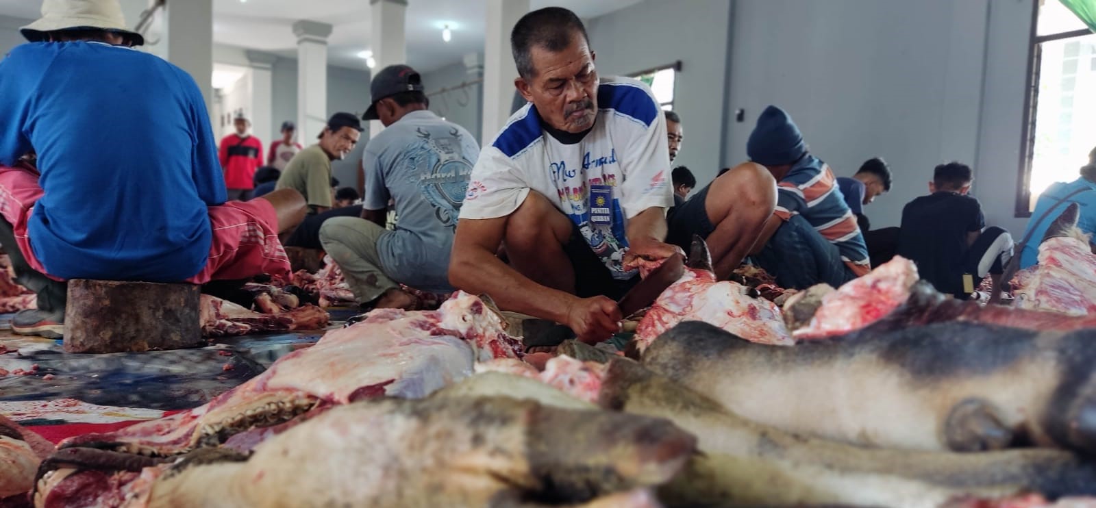 2 Ekor Sapi Kurban Terdeteksi Penyakit Cacing Hati