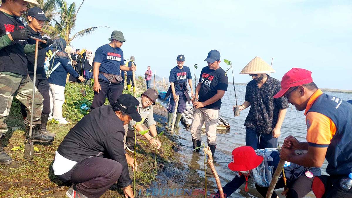 Guru Penggerak Kebumen Tanam Pohon Bakau di Kawasan Konservasi Penyu