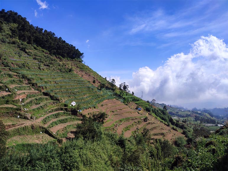 Gempa Bumi Tektonik M 1.9 Guncang Dieng, Serasa Seakan Truk Berlalu