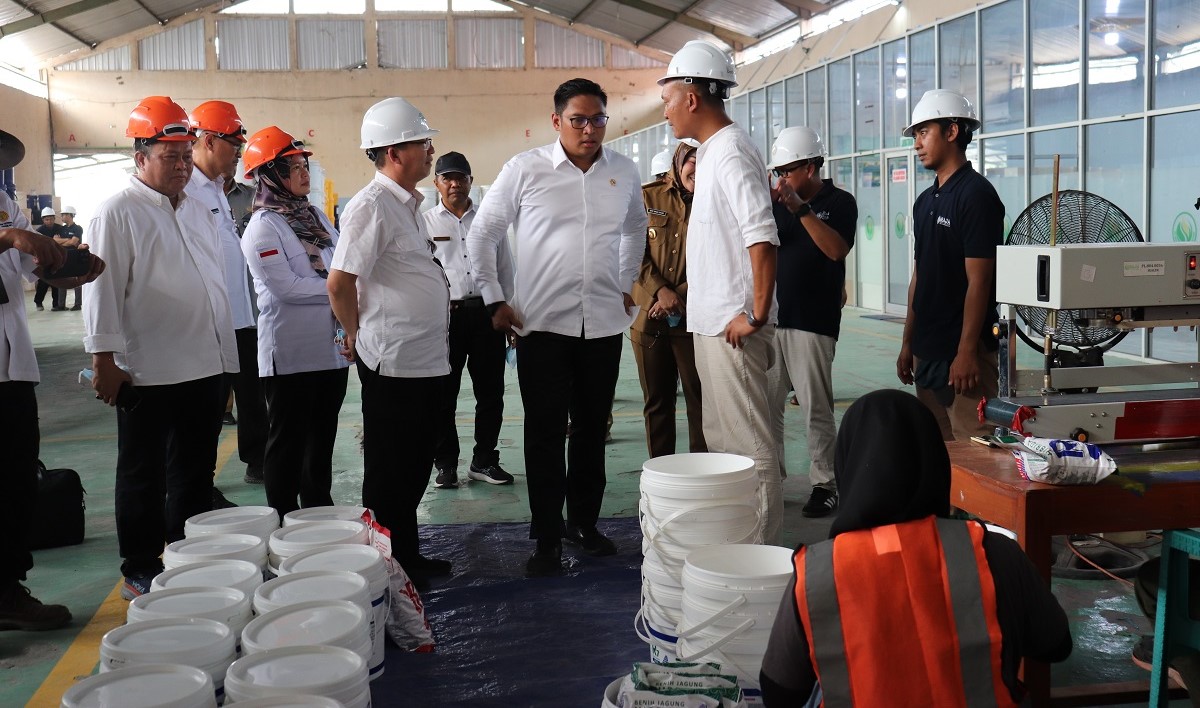 Tingkatkan Produksi Nasional, Wamentan Dorong Produsen Benih Jagung