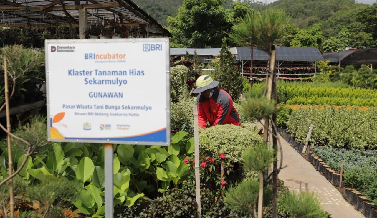 Perkuat Ekonomi Kerakyatan, BRI Berdayakan 41 ribu Klaster Usaha melalui Pembiayaan dan Literasi Keuangan