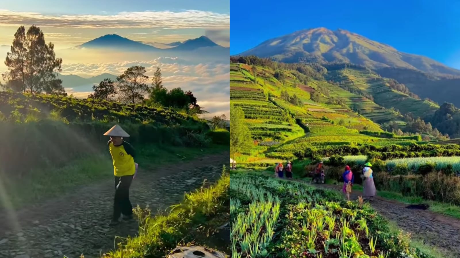 4 Fakta Menarik Hidden Gem Blumbang Roto Magelang, View Cantik Lereng Gunung Sumbing Yang Masih Perawan