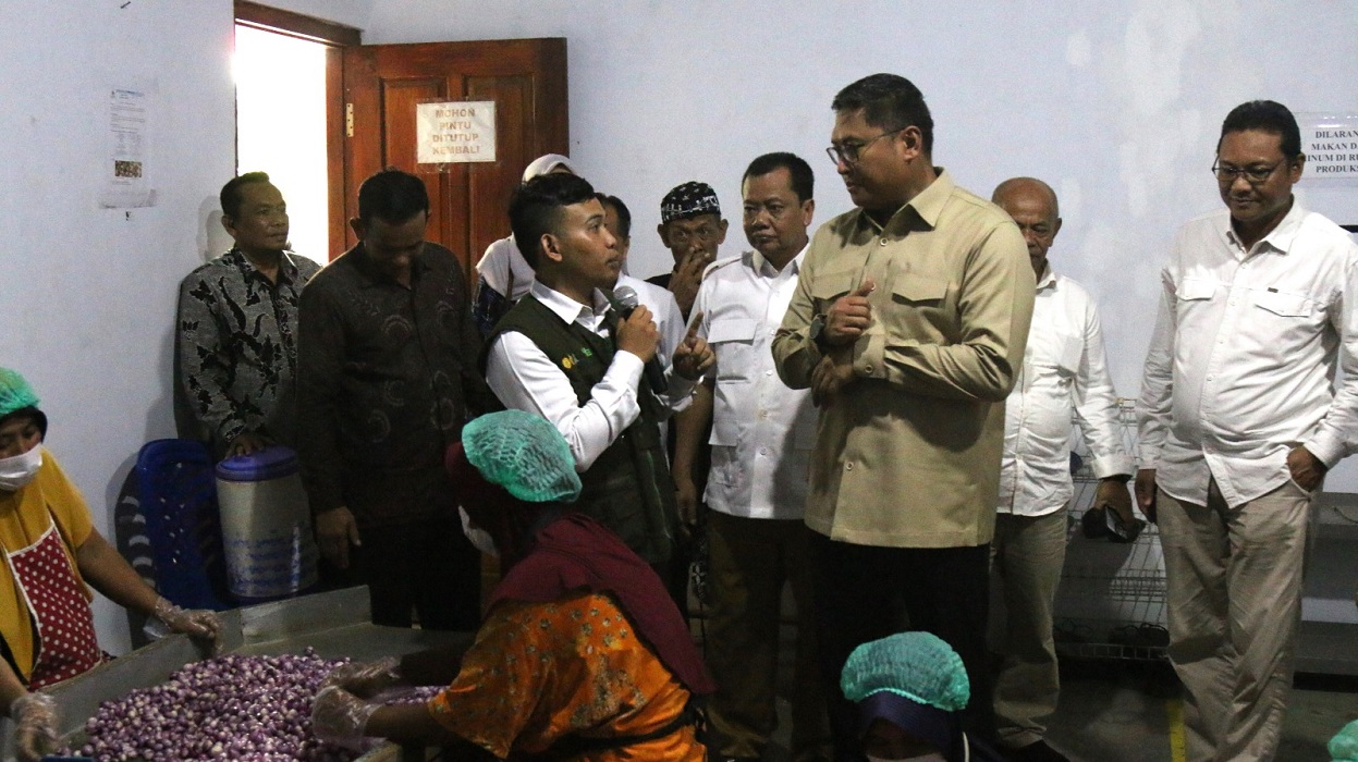 Komitmen Tingkatkan Potensi Bawang Merah, Wamentan Sudaryono Dorong Koperasi Desa Merah Putih Brebes