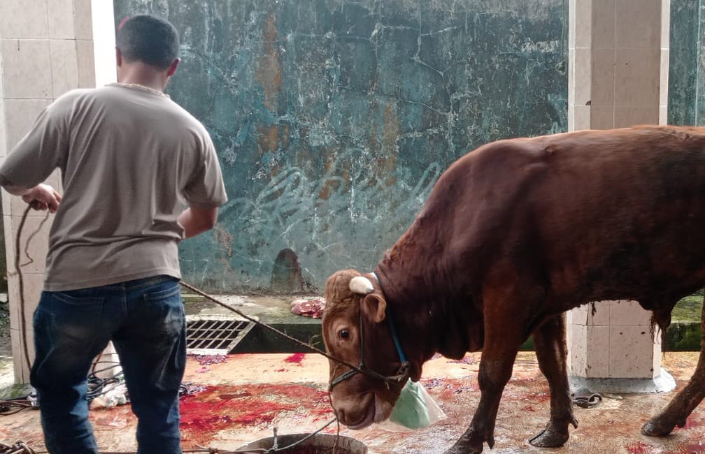 Antisipasi Antraks, Pemkab Wonosobo Larang Distribusi Daging Sapi dari Daerah Rawan