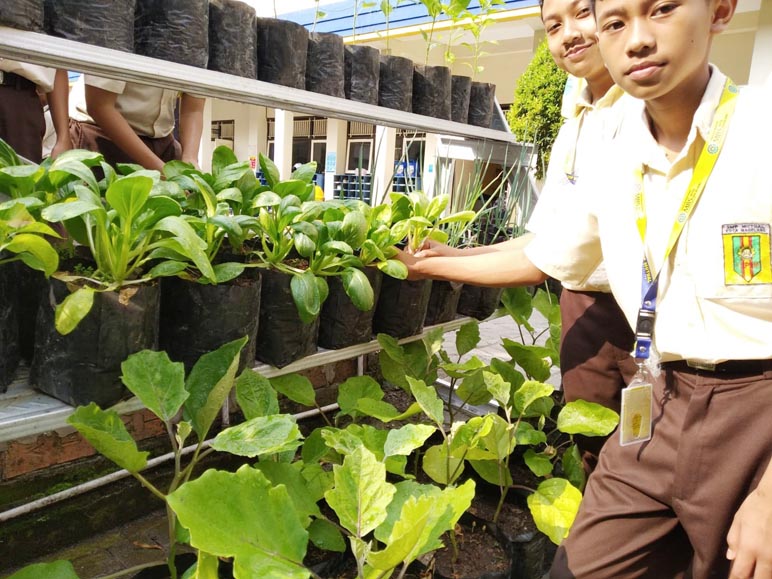 SMP Mutual Kenalkan Wawasan Lingkungan, Melalui Program Urban Farming