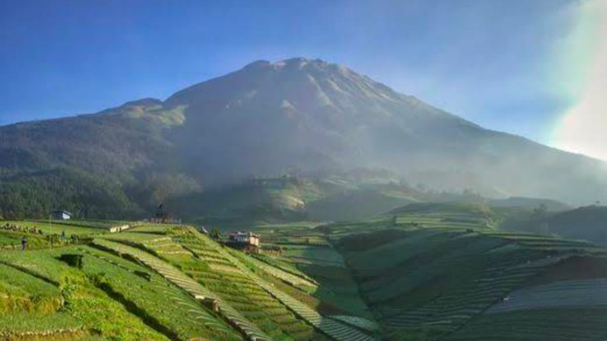 Eksplorasi Keindahan Alam Magelang, Wisata Terasering Sitegong 