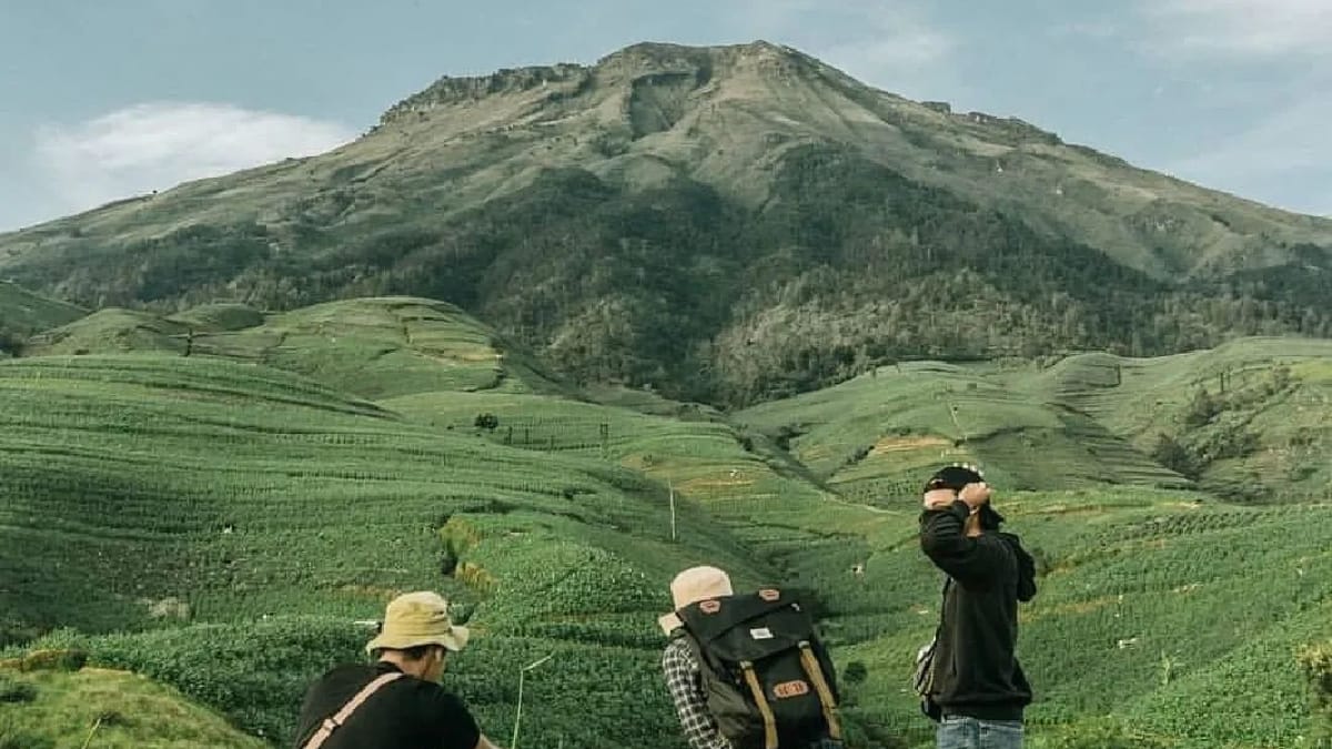 Surga Tersembunyi di Jalur Glapansari Temanggung, View Gunung Sumbing yang Menakjubkan