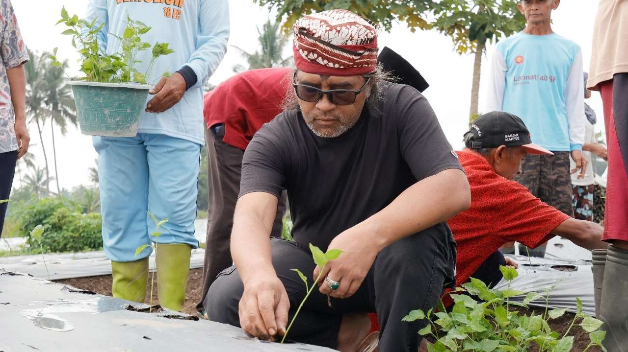 Sayembara Cabai Rp50 Juta dari Bupati Temanggung, Ini Syarat dan Cara Ikutnya