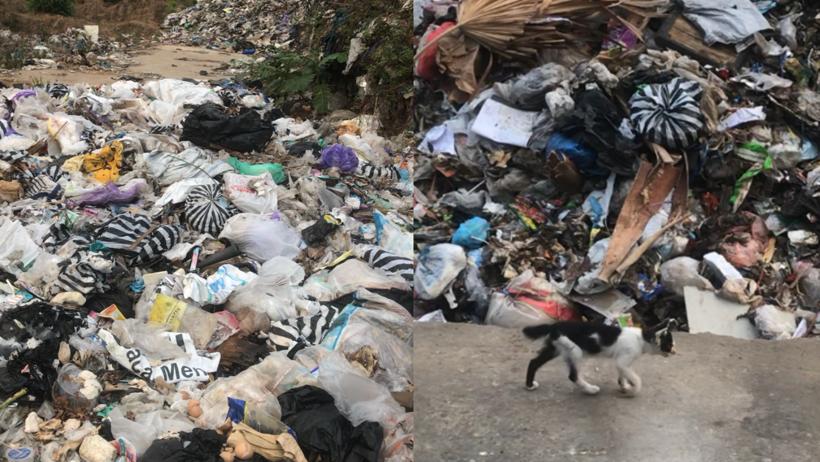 Bau Sampah TPSA Mertoyudan Hingga ke Lingkungan Masyarakat dan Sekolah