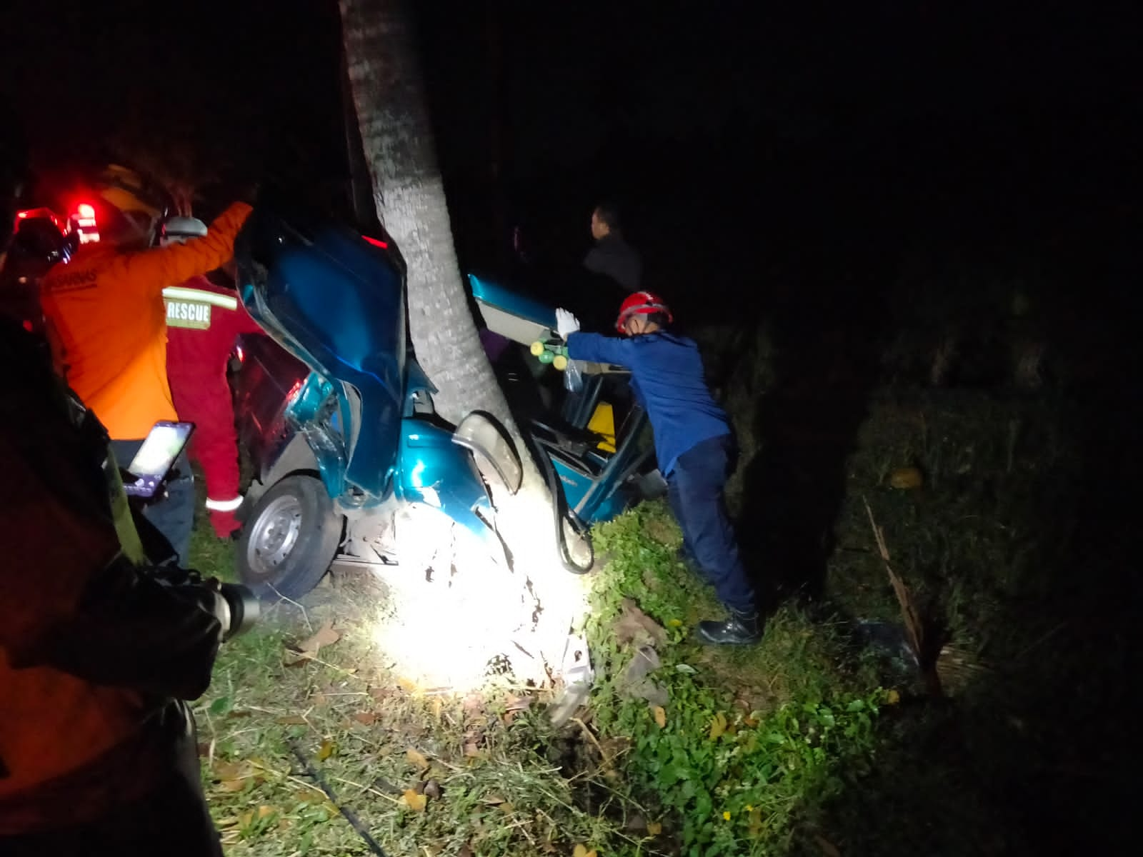 Mobil Tabrak Pohon Kelapa di Sawangan, Pengemudi Terjepit