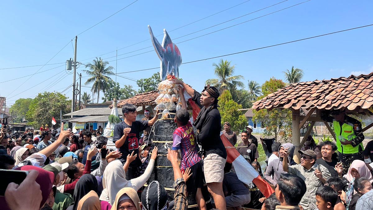 Bukan Sayur, Ratusan Warga Rebutan Gunungan Ikan Koi di Kirab Budaya Desa Ngrajek Magelang