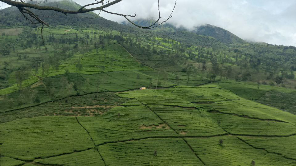 Cuma 5 Ribu, Kamu Bisa Menikmati Pesona Gunung Cilik Wonosobo Wisata Bak di Negeri Dongeng