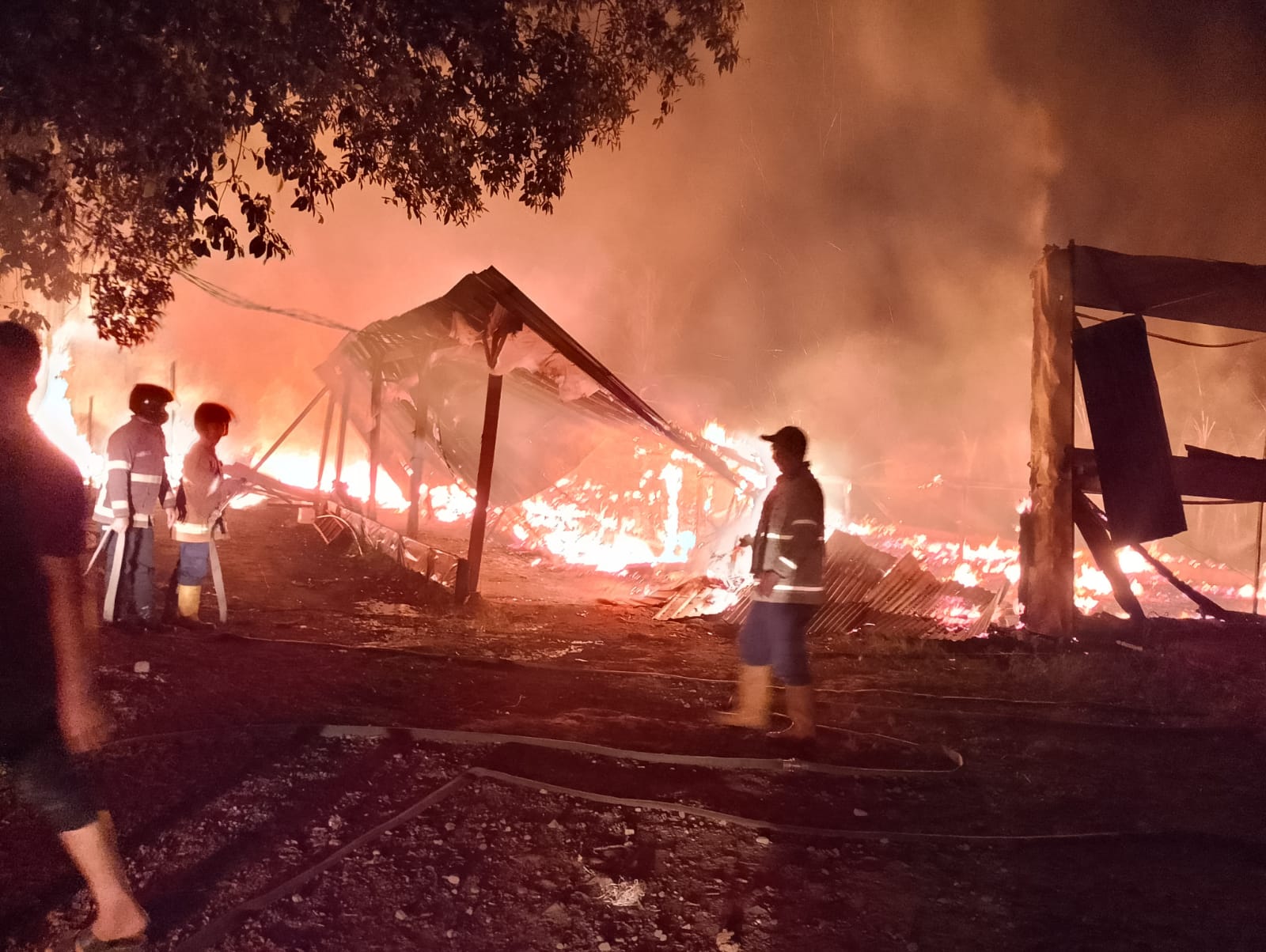 Kandang Ayam di Salam Magelang Habis Dilalap Si Jago Merah