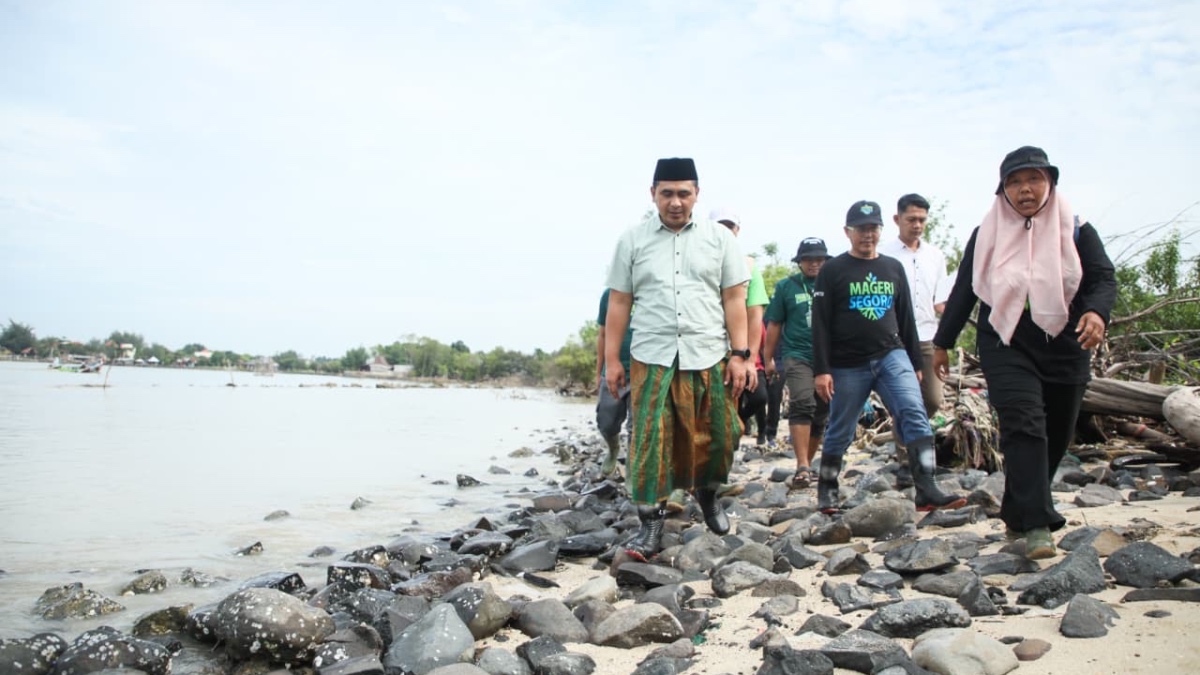 Garis Pantai Jateng Tergerus, Gus Yasin Tanam Mangrove di Jepara