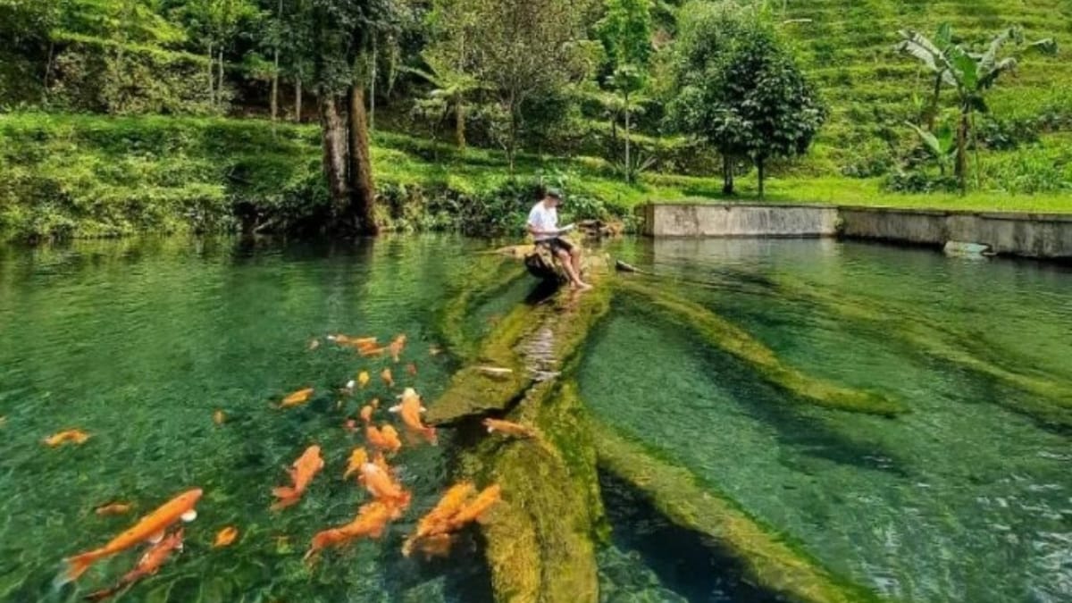 Bermain Air Di Hidden Gem nya Wonosobo, Mata Air Mudal Slukatan Yang Sangat Jernih Dengan View Menyegarkan!