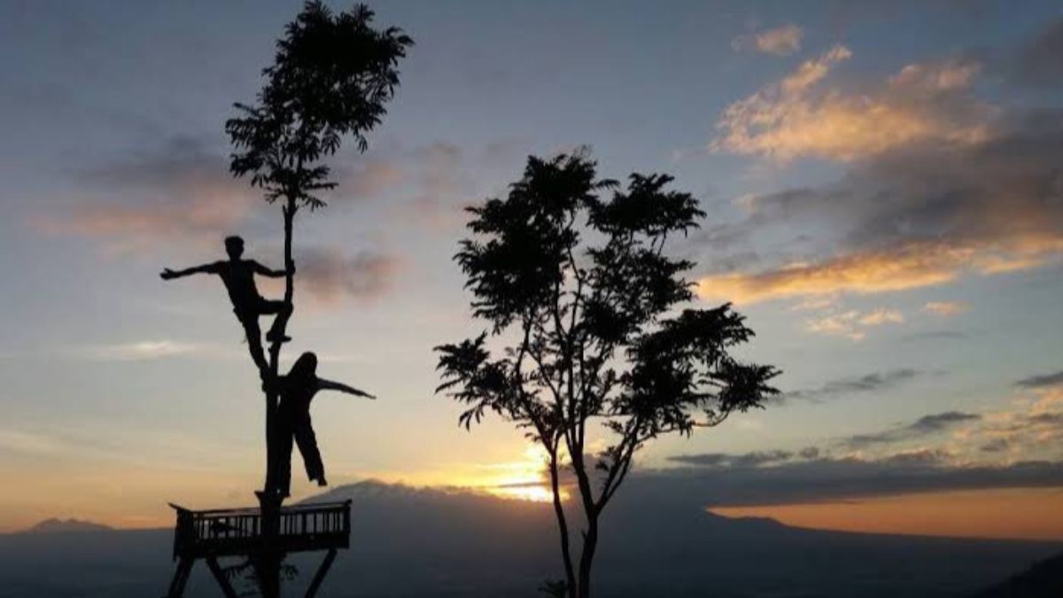 Yuk Main ke Punthuk Sukmojoyo, Wisata Melihat Sunrise yang Memukau Dekat Candi Borobudur 