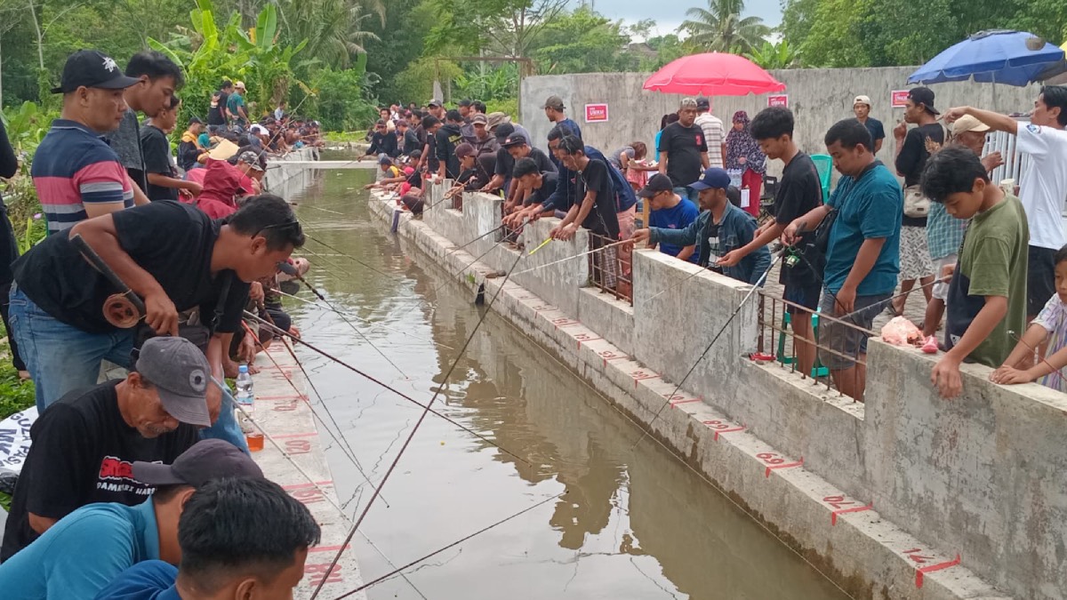 Pasangan Damai Klaim Unggul 60 Persen di Wilayah Magelang Tengah