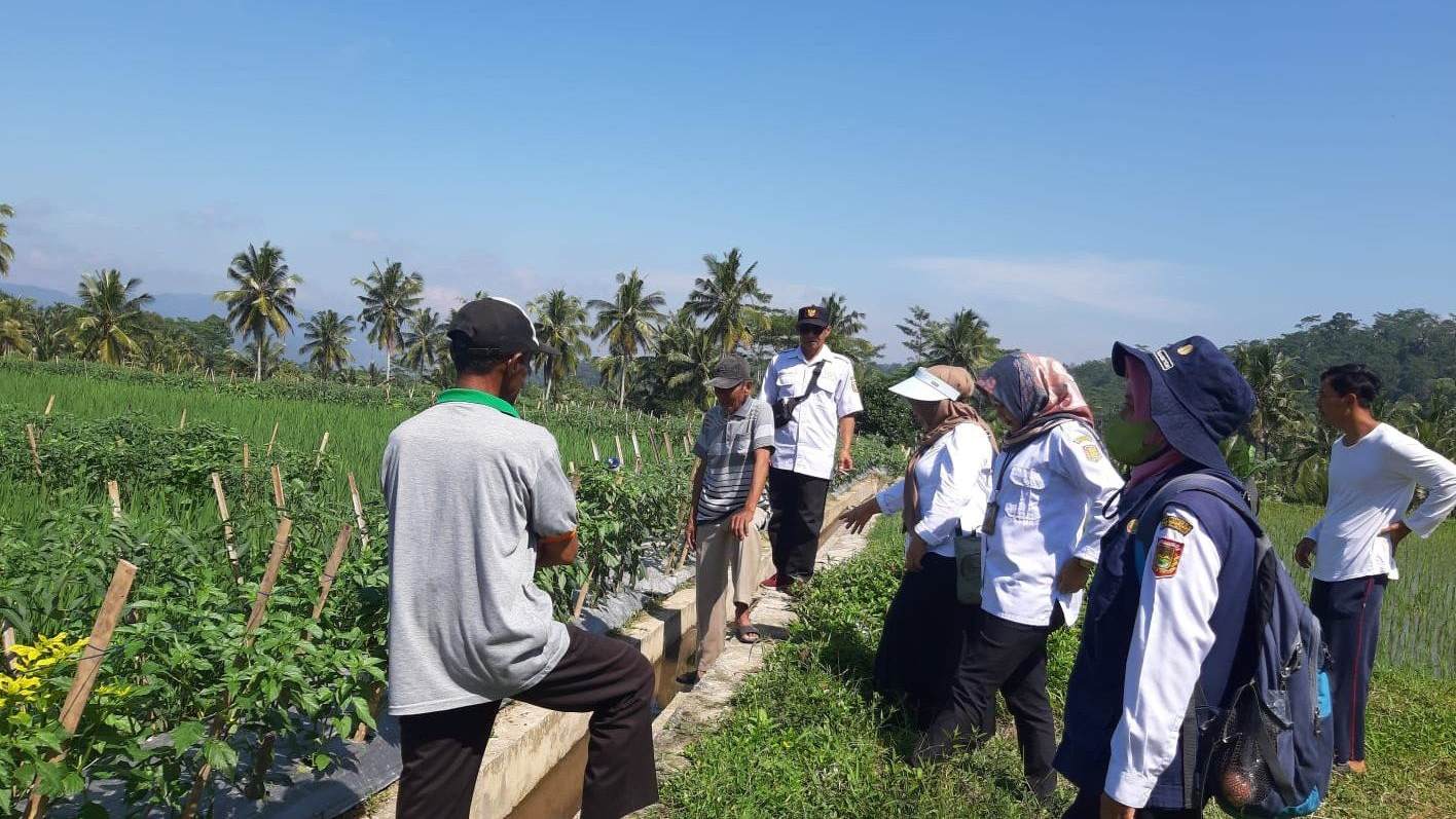 Dispaperkan Wonosobo Dorong Petani Tanam Hortikultura di Pematang Sawah