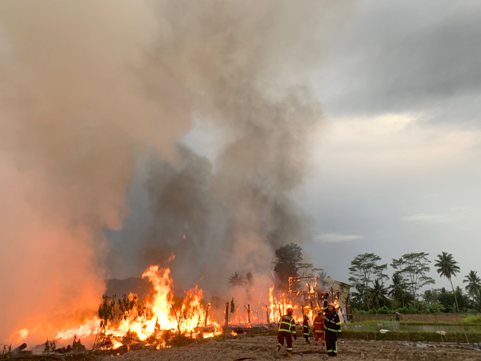 Kebakaran Kandang Ayam di Magelang Ditaksir Kerugian Mencapai Rp 800 Juta 