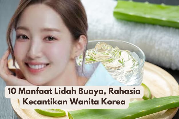 Jadi Bahan Utama Skincare Korea, Inilah 10 Manfaat Lidah Buaya Untuk Kecantikan Bisa Dicoba Sendiri di Rumah