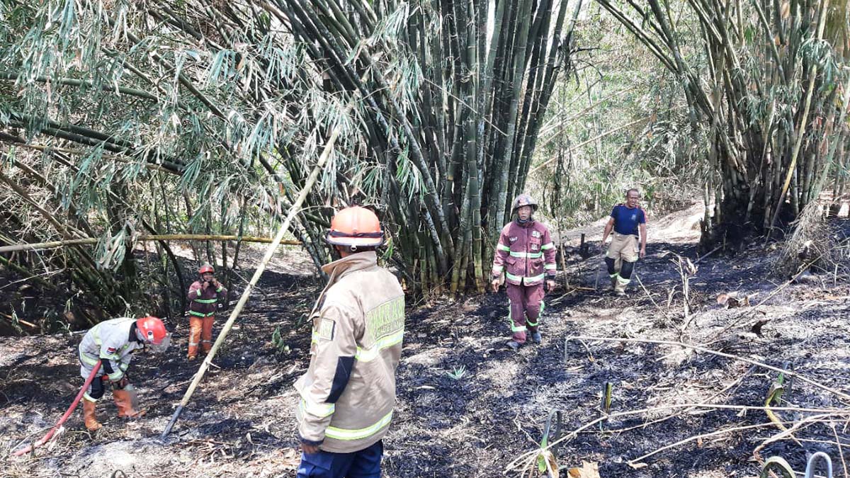 Dua Kebakaran Terjadi di Secang Magelang, Lagi-lagi Dipicu Warga Bakar Sampah