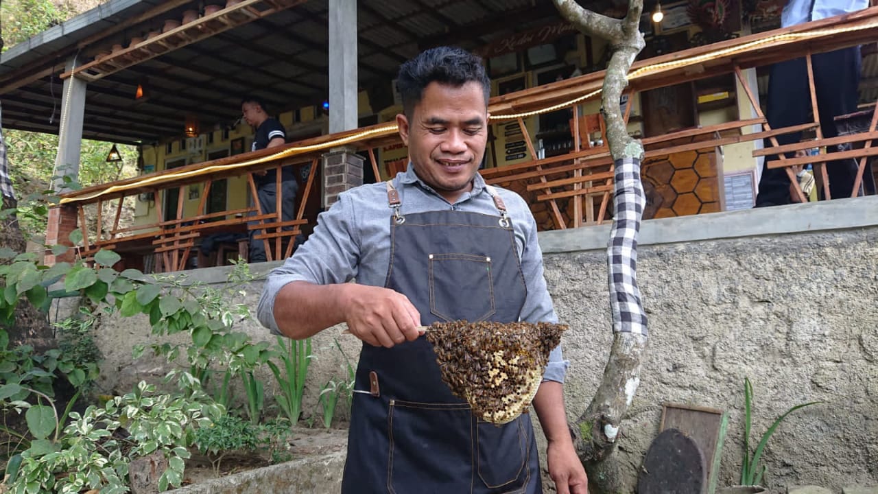 Sensasi Wisata Madu Liar di Salaman Magelang, Melayani Hingga 24 Jam