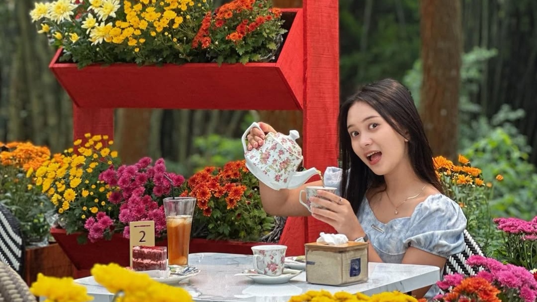 Pine Place Jadi Kafe Baru Temanggung, Tampilkan Kebun Bunga yang Indah
