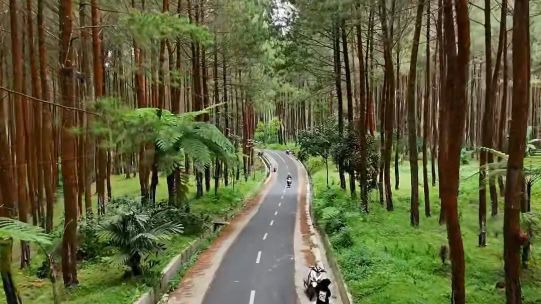 Cantik Banget! Jalur Perbatasan Wonosobo - Magelang Ini Bikin Gagal Fokus Netizen