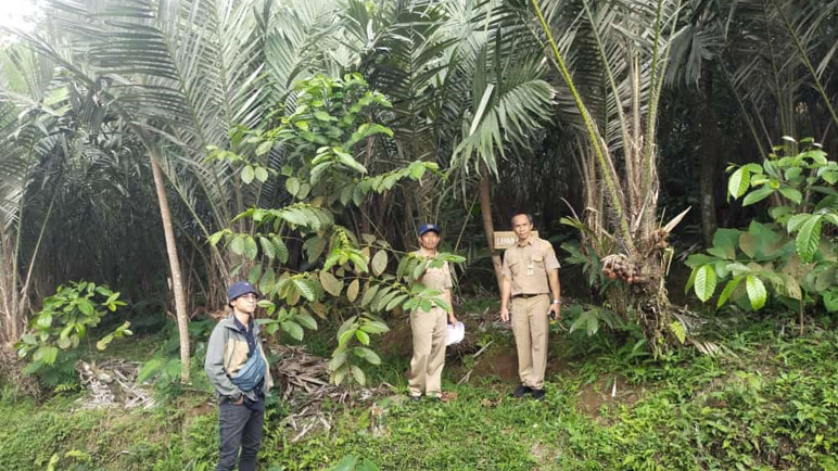 Inofice Kota Bogor Sertifikasi 33 Hektar Lahan Berbasis Organik di Wonosobo