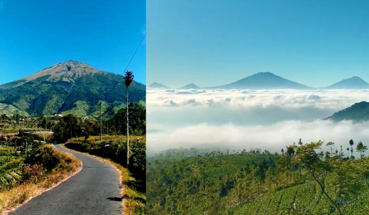 Cantiknya Negeri di Atas Awan Khas Windusari Magelang, Pesona di Lereng Gunung Sumbing yang Tersembunyi