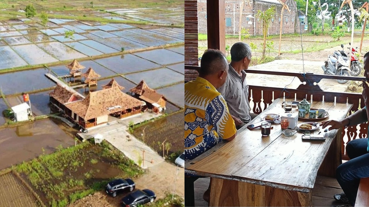 UNIK! Cafe Dengan Konsep Berada Di Tengah Sawah Dan Memiliki Berbagai Menu Yang Lezat Di Purworejo
