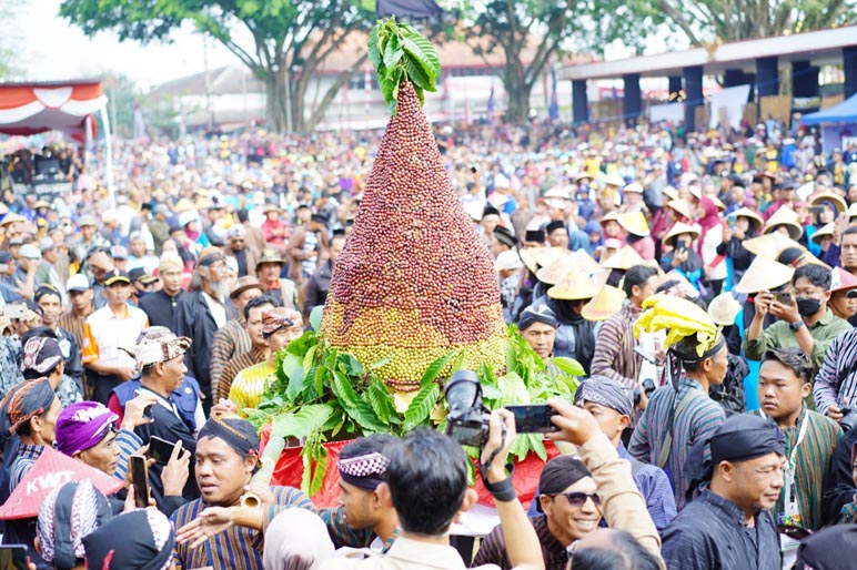 Panen Raya, Ribuan Petani Temanggung Gelar Syukuran