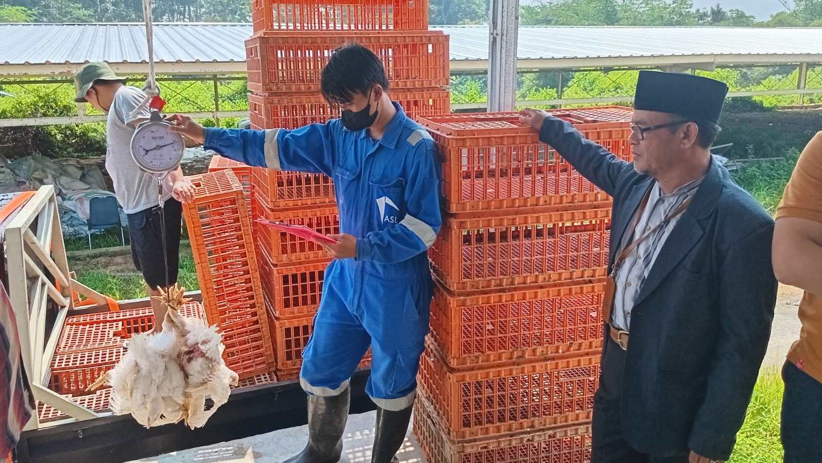 Untidar Magelang Kembangkan Peternakan Ayam Modern dan Edukatif