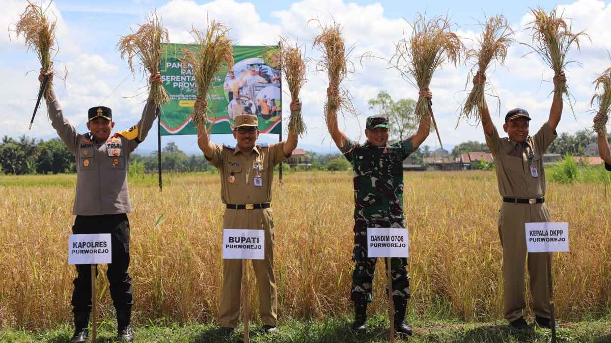 Purworejo Ikut Program Panen Raya Padi Serentak 14 Provinsi