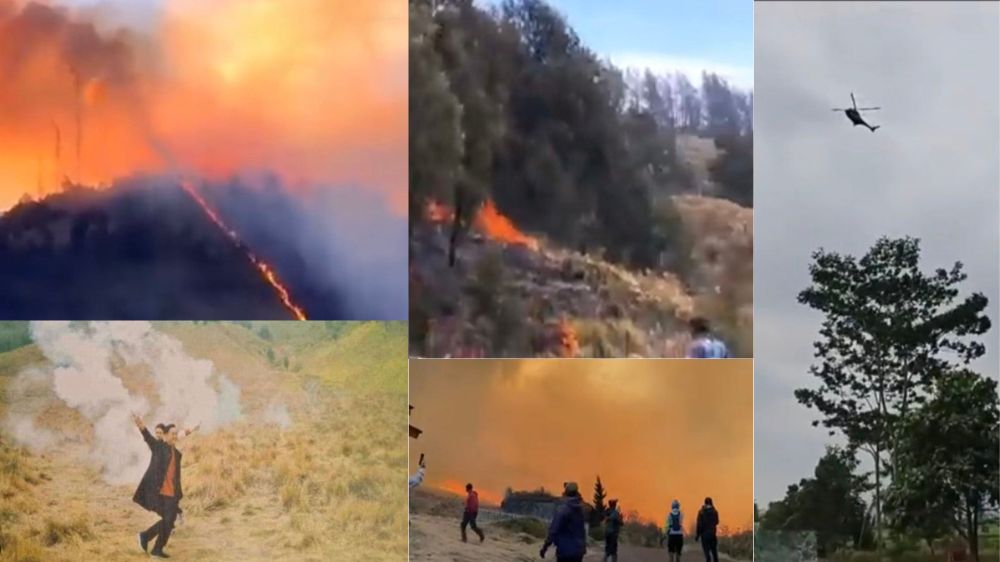  Kebakaran di Gunung Bromo Akibat Flare Prewedding Berhasil Dipadamkan
