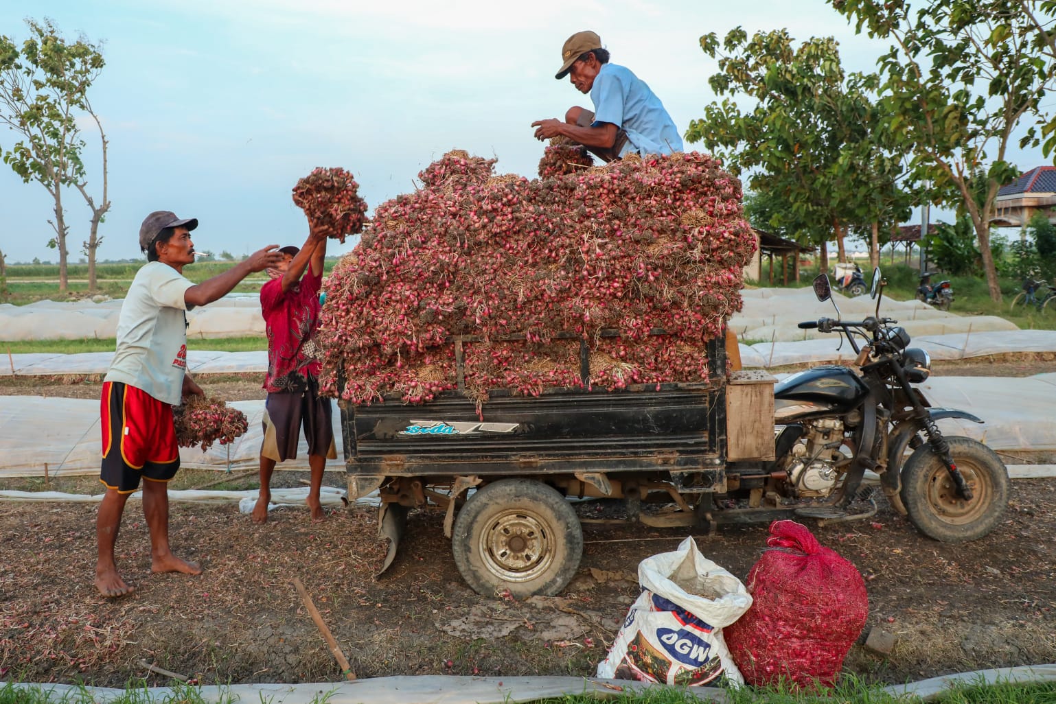 Tekan Inflasi, CMJT Borong Cabai dan Bawang Merah Produsen Langsung