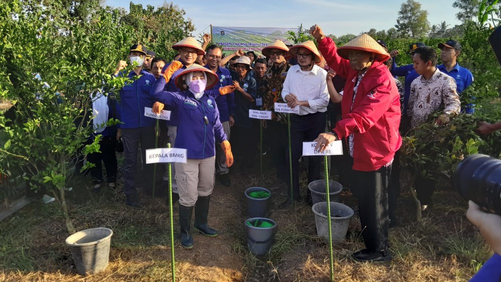 Petani Jeruk Purworejo Perlu Pahami Perubahan Iklim, BMKG dan DPR RI Fasilitasi SLI